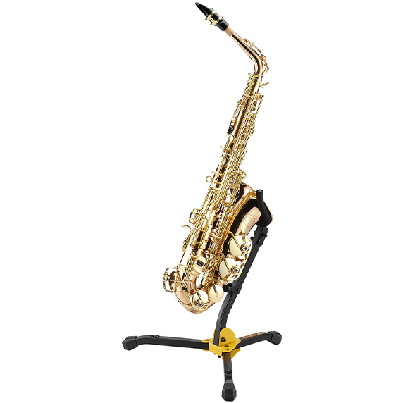 DS530BB with Alto Sax