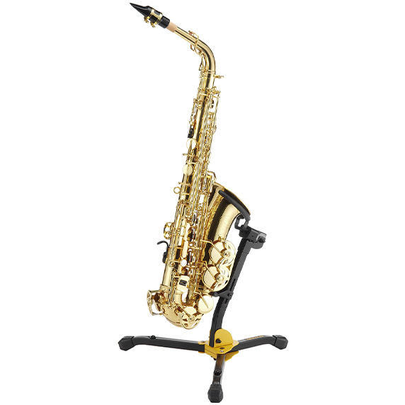 DS630BB with Alto Sax